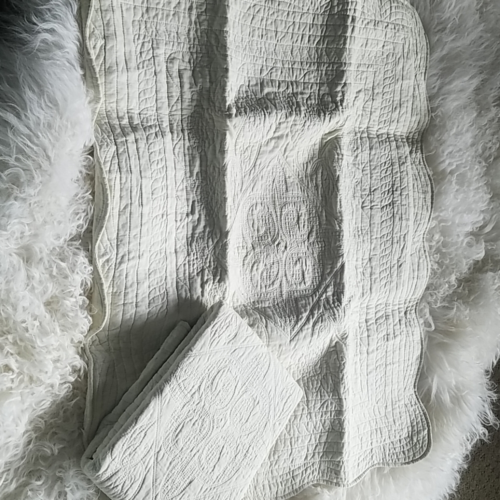 Two Antique White Cotton Poly Standard Shams